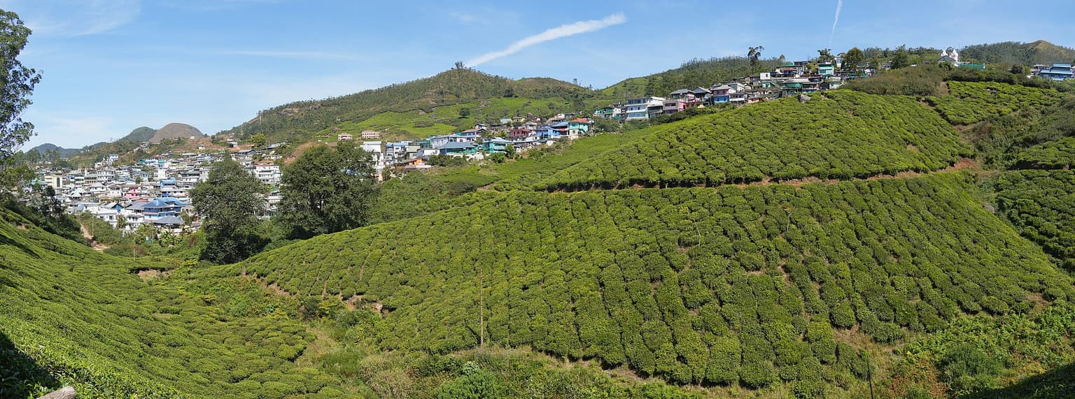 Munnar