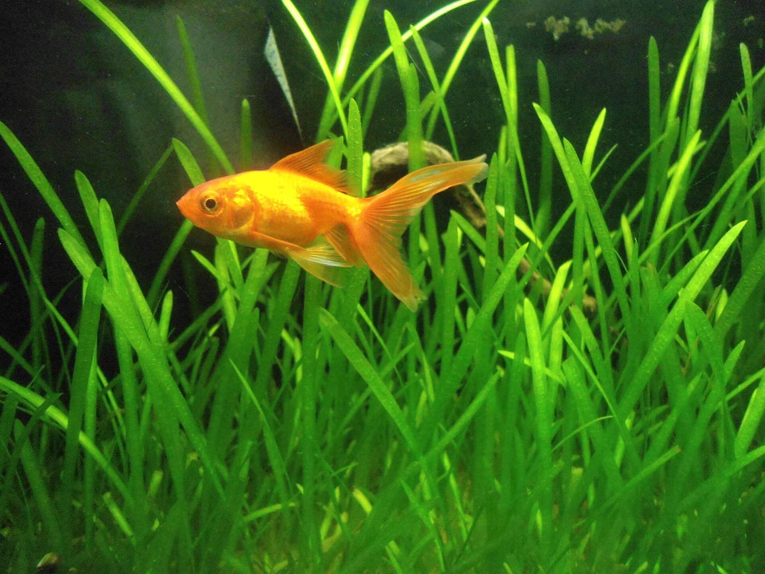 TNFDC Marine Aquarium
