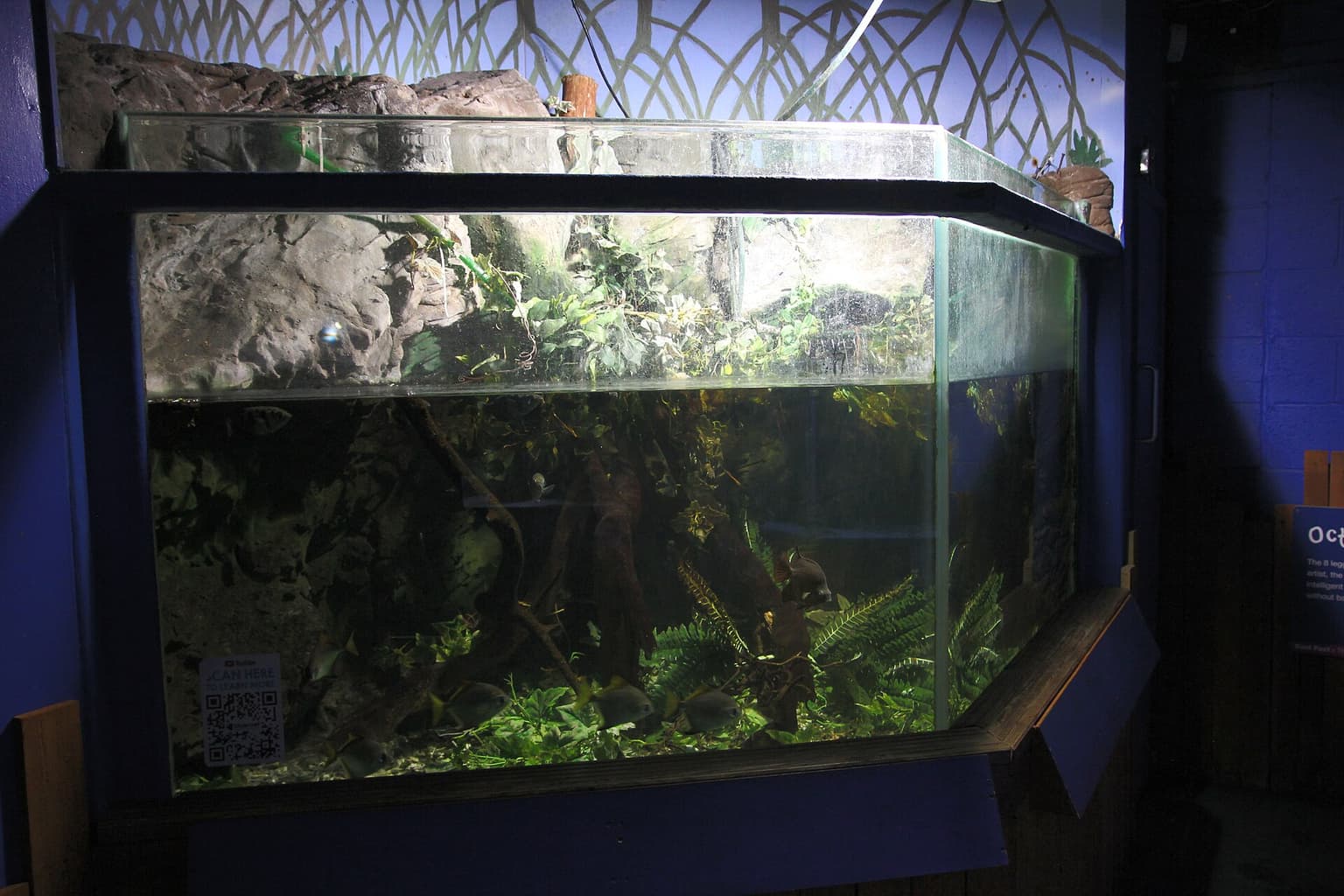 CMFRI Aquarium (Maraikayar Pattinam)